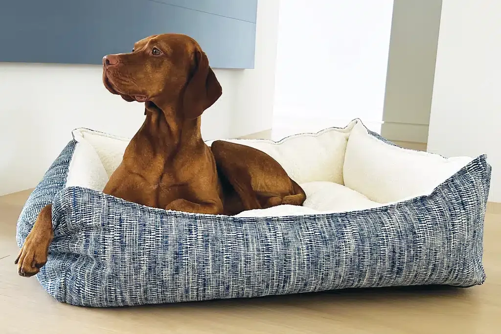 Dog in luxury bed