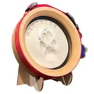 Paw Print & Collar Memorial Frame