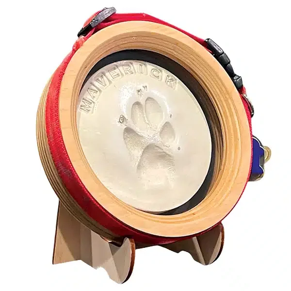 Paw Print & Collar Memorial Frame