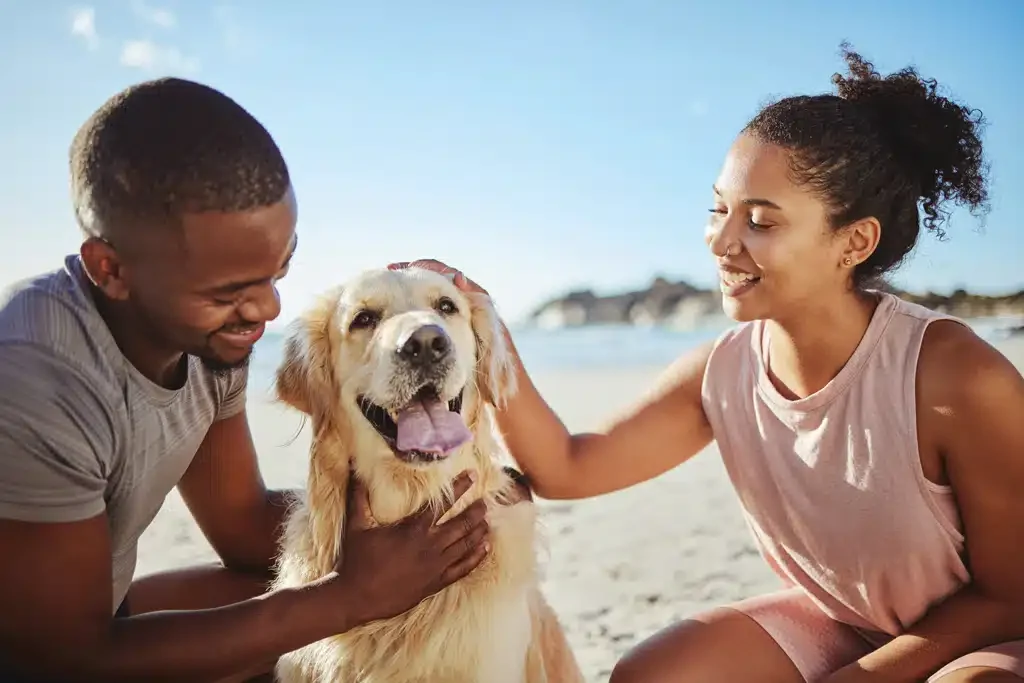 Healthy Paws Pet Insurance
