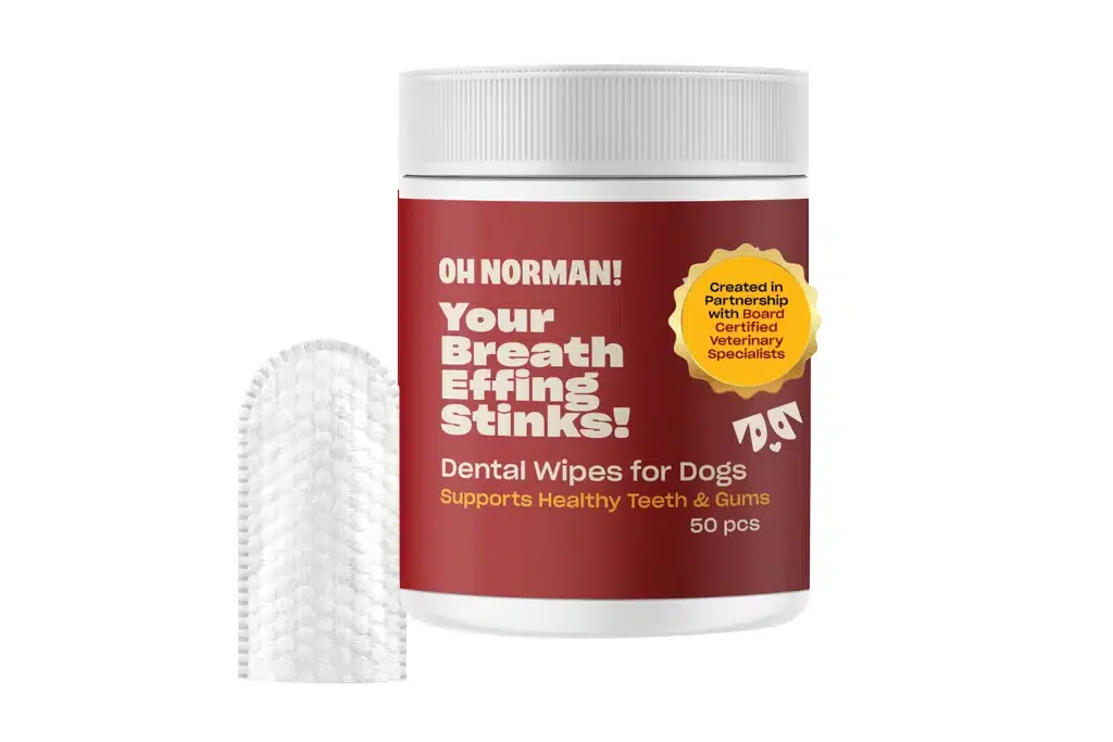 Oh Norman! Dental Wipes