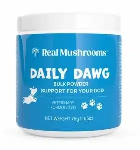 RealMushrooms Daily Dawg