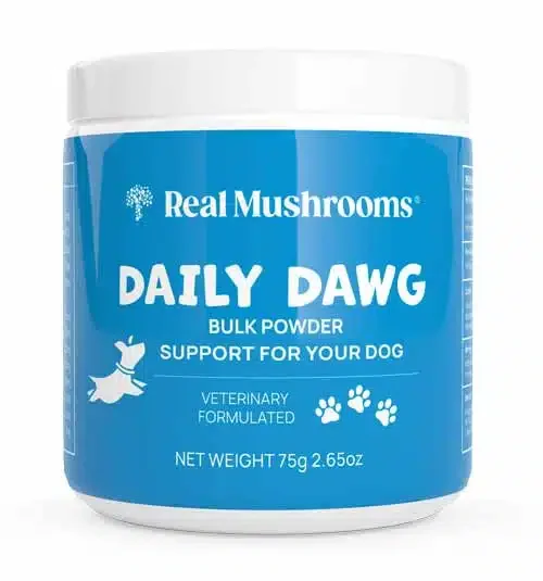 RealMushrooms Daily Dawg
