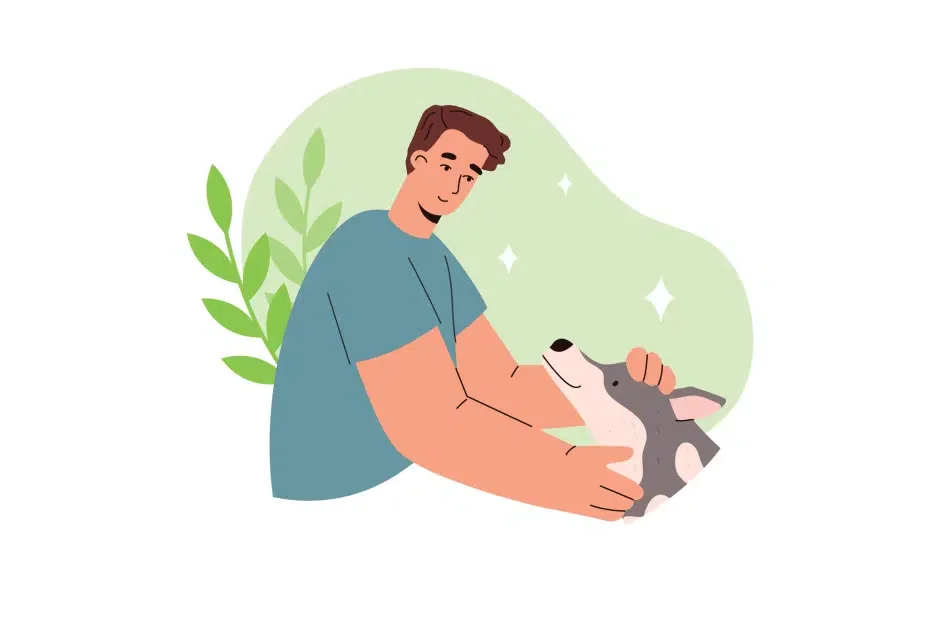 Home remedies for common dog ailments