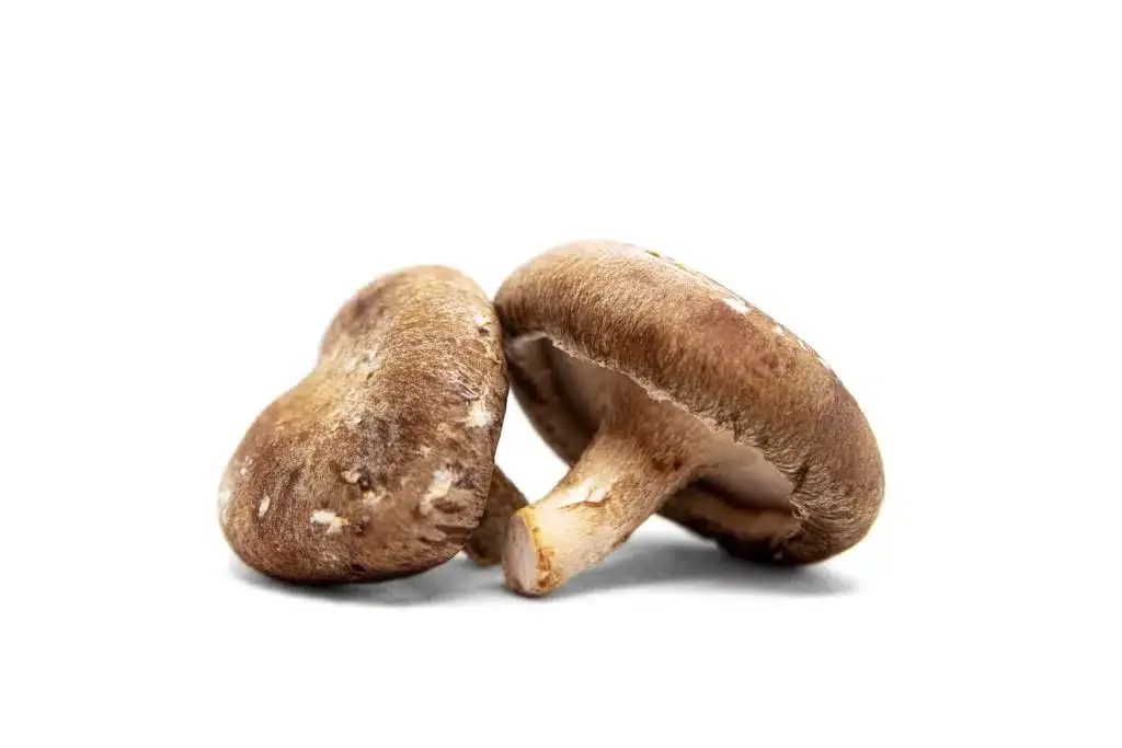 Fresh And Raw Shiitake Mushrooms