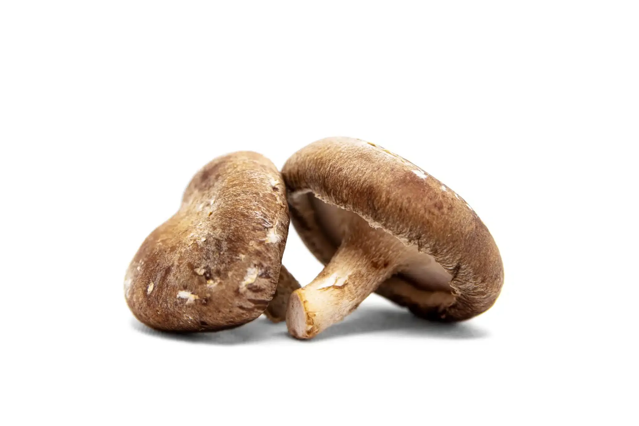 Fresh And Raw Shiitake Mushrooms