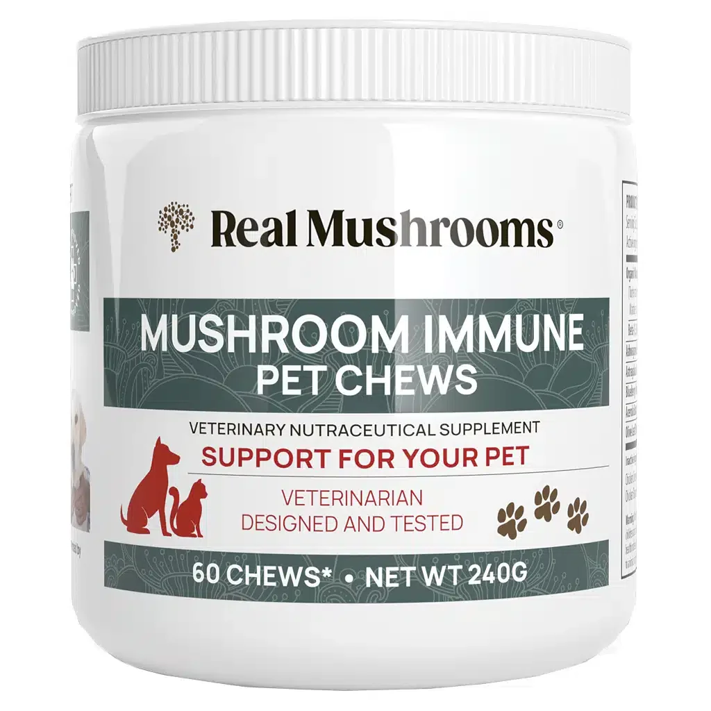 Real Mushrooms