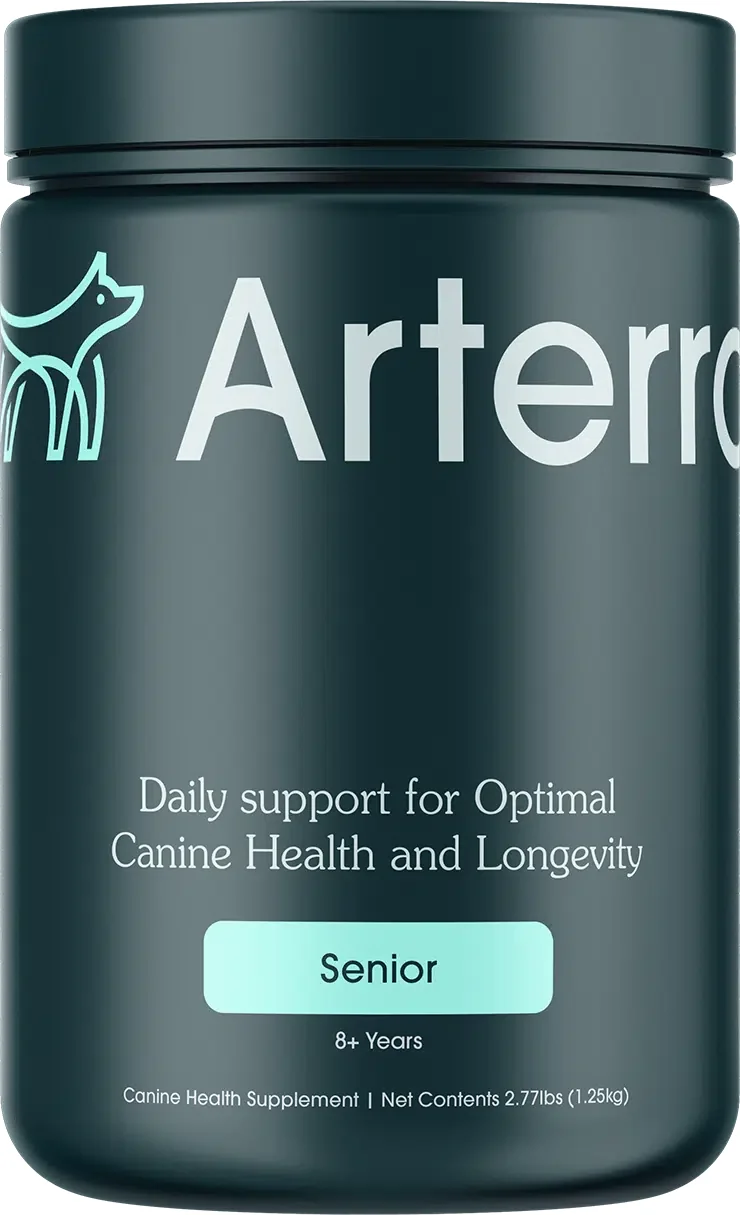 arterra senior dog supplements.