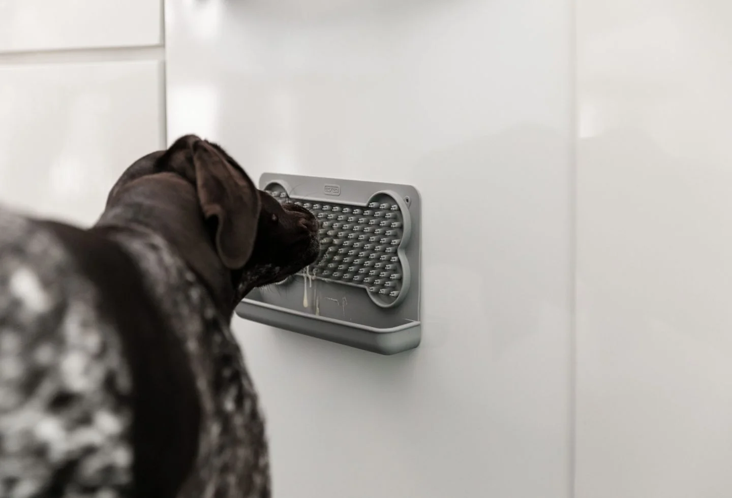 Why Silicone Licking Mats Are a Game-Changer for Dogs