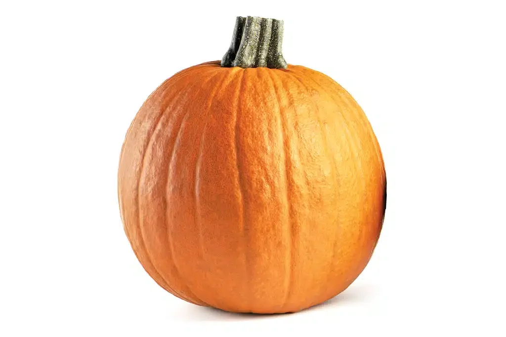 pumpkin
