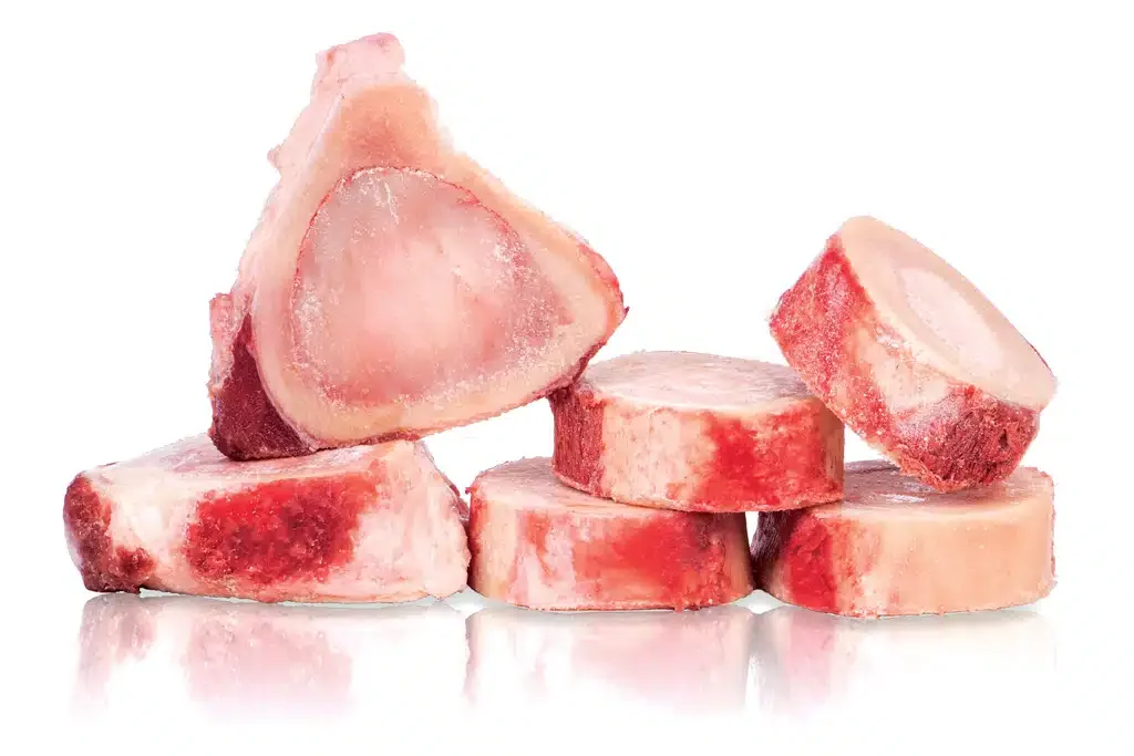 bone marrow